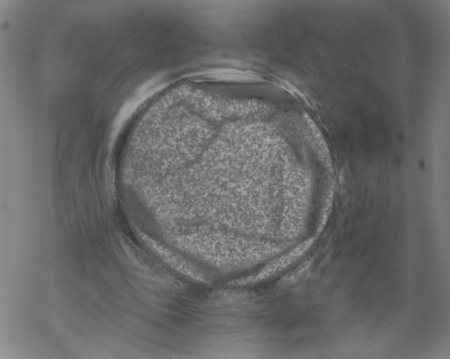 X0000068280343200605191859