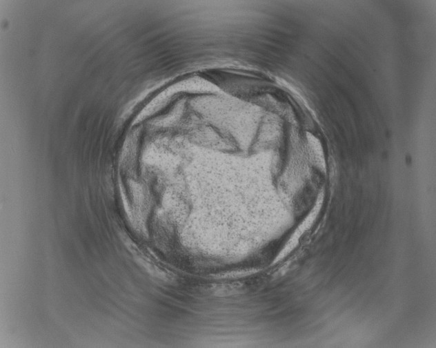 X0000068280345200605191859