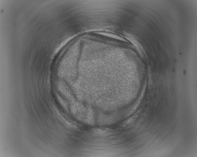 X0000068280346200605191859