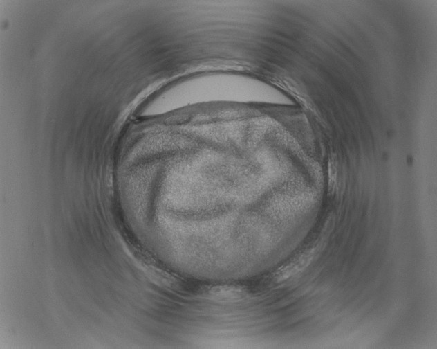 X0000068280348200605191859