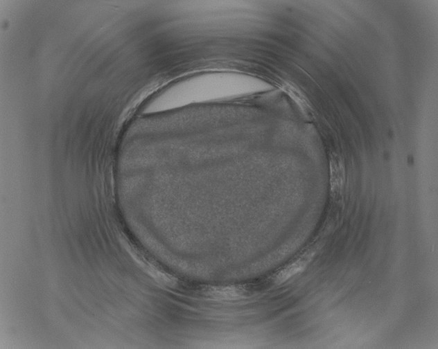 X0000068280349200605191859