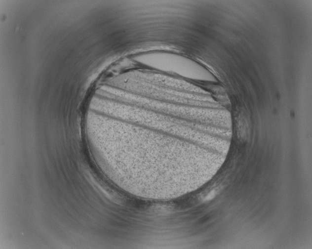 X0000068280350200605191859