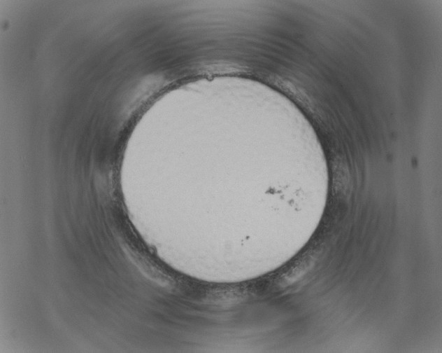 X0000068280351200605191859