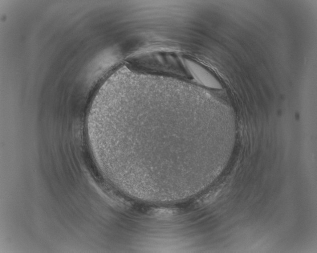 X0000068280352200605191859