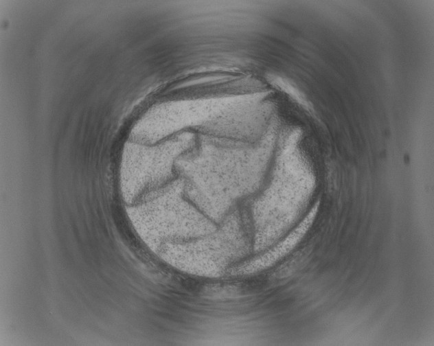 X0000068280354200605191859