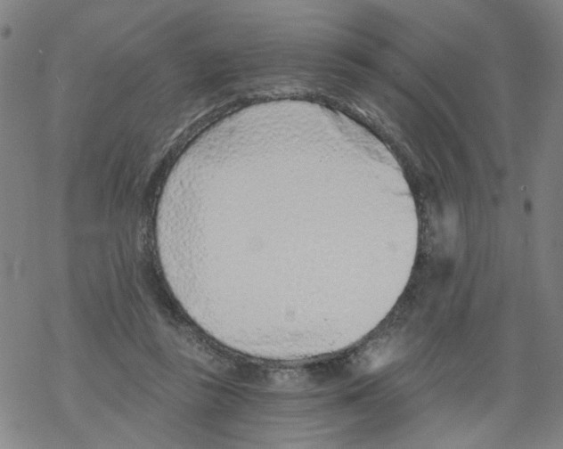 X0000068280355200605191859