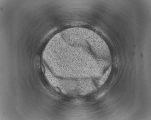 X0000068280356200605191859