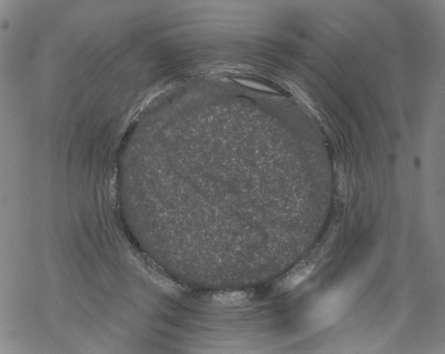 X0000068280357200605191859