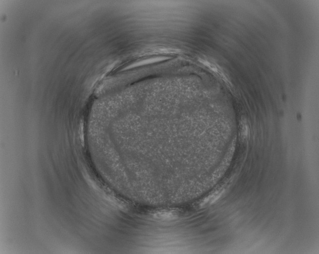 X0000068280358200605191859