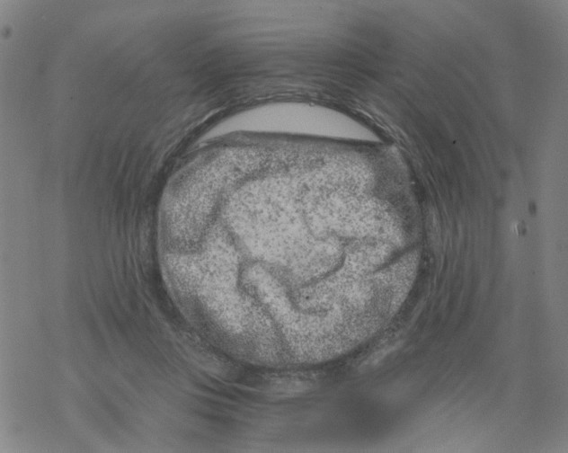 X0000068280359200605191859