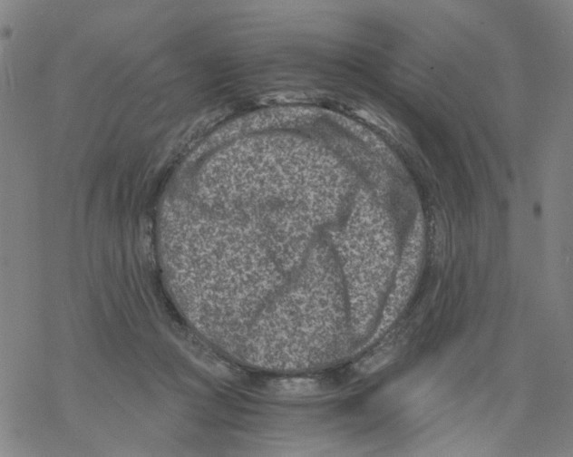 X0000068280361200605191859