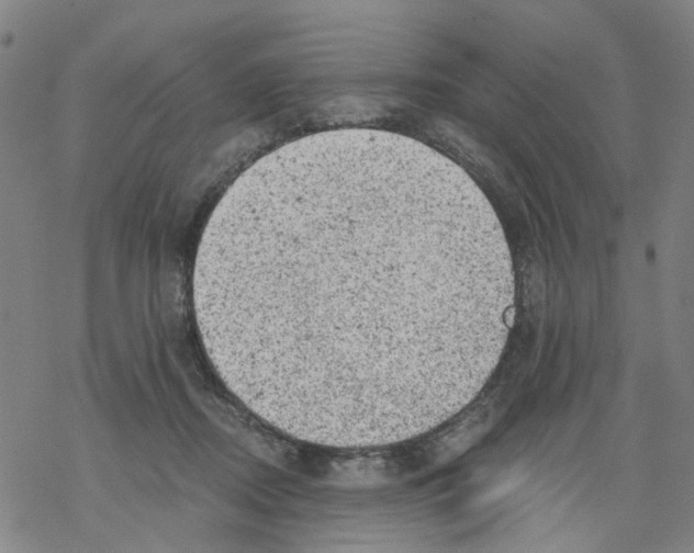 X0000068280362200605191859