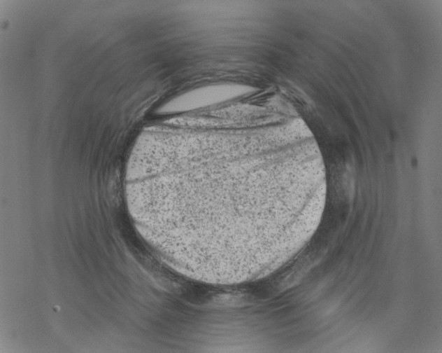 X0000068280364200605191859