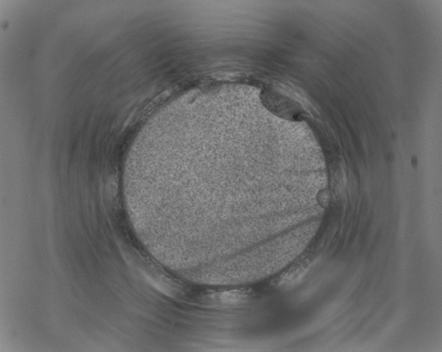 X0000068280365200605191859