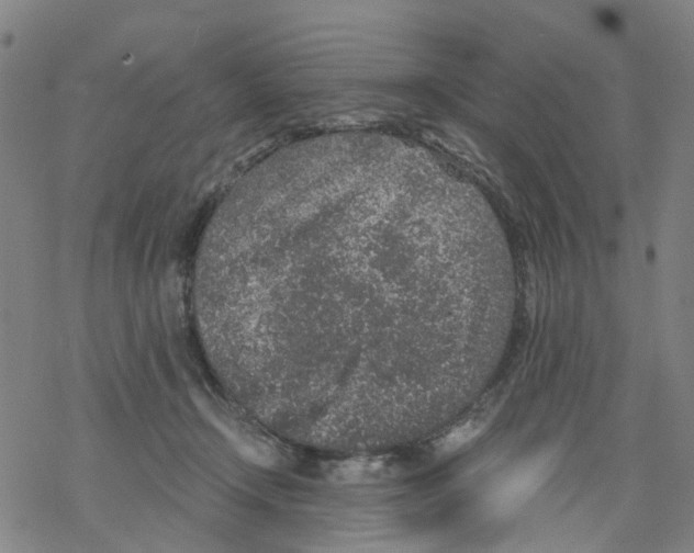 X0000068280366200605191859