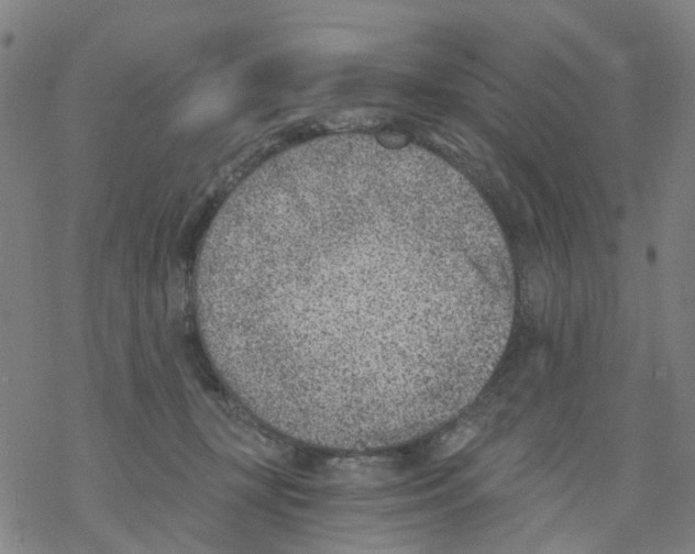 X0000068280367200605191859