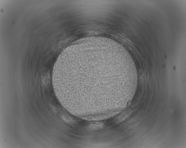 X0000068280369200605191859