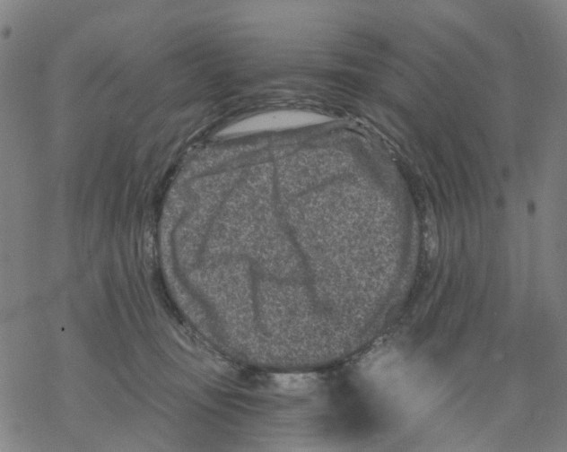 X0000068280371200605191859