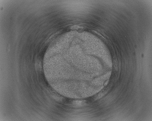 X0000068280375200605191859