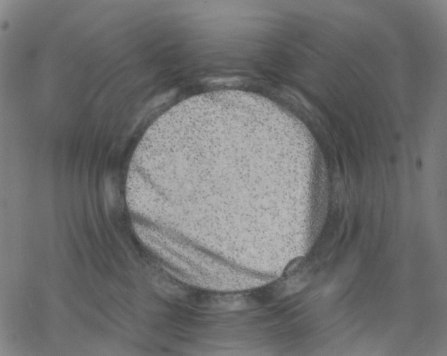 X0000068280377200605191859