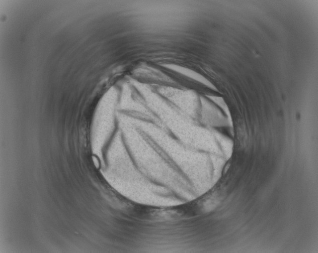 X0000068280379200605191859