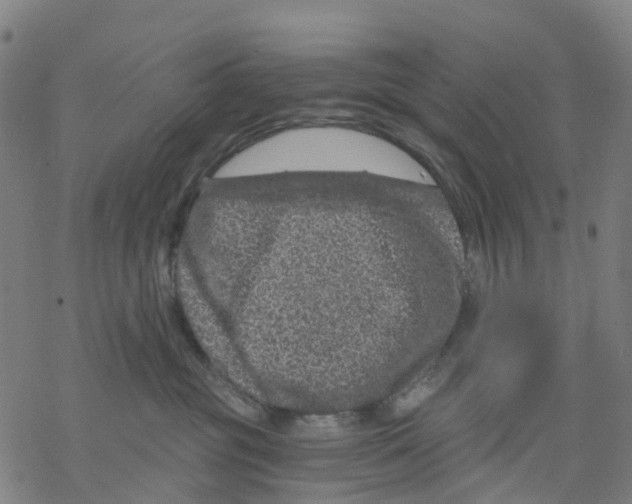 X0000068280381200605191859