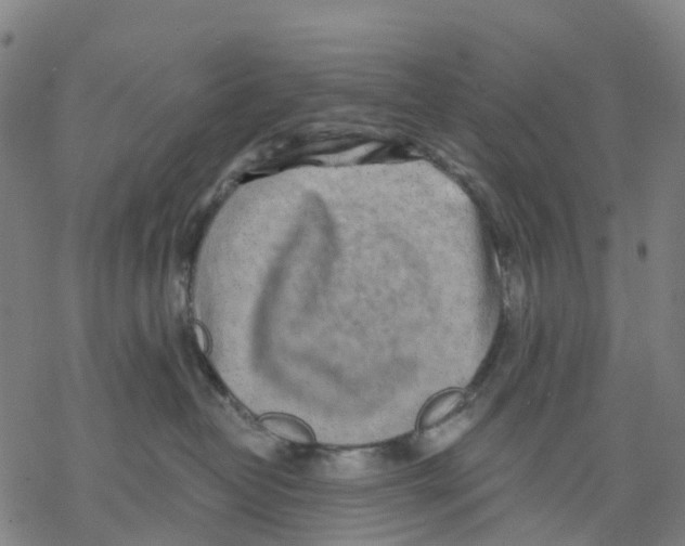 X0000068280382200605191859