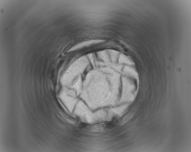 X0000068280384200605191859