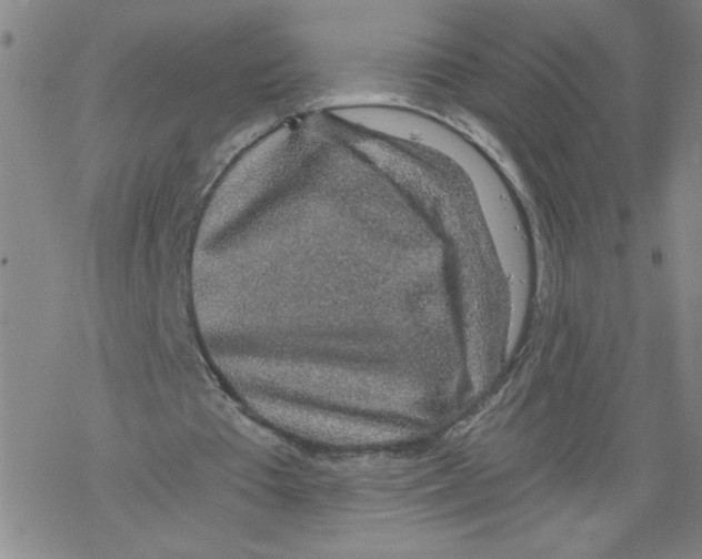 X0000068280385200605191859