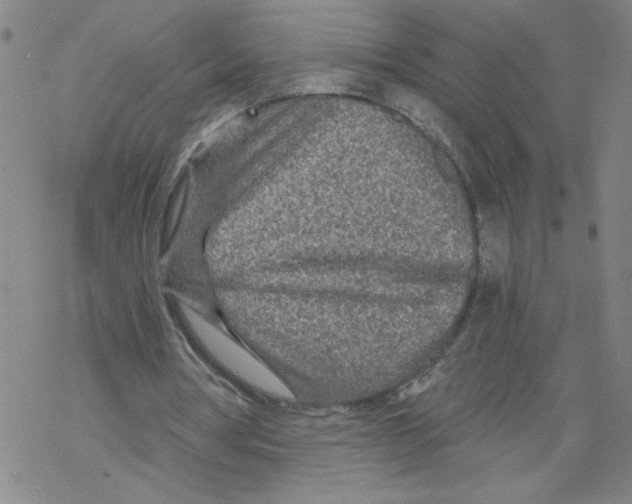 X0000068280386200605191859