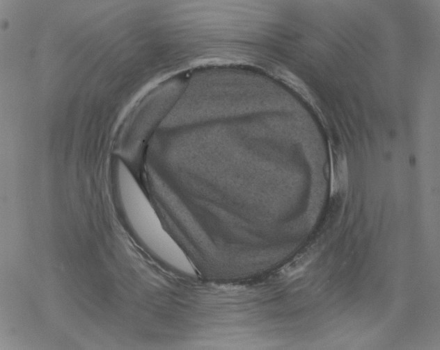 X0000068280387200605191858