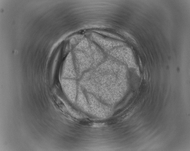 X0000068280388200605191858