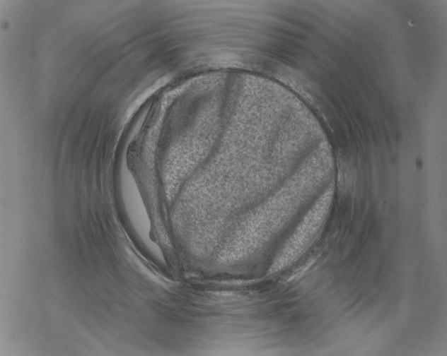 X0000068280390200605191858