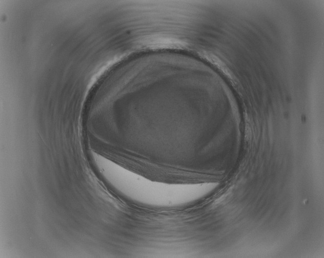 X0000068280391200605191858