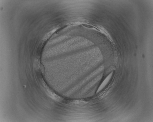 X0000068280393200605191858