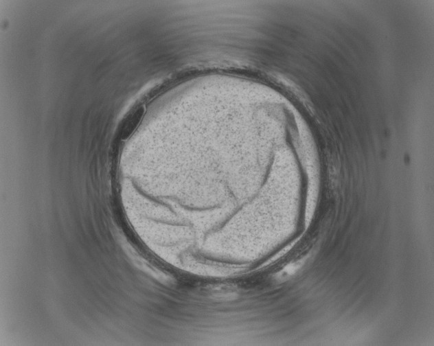 X0000068280395200605191858