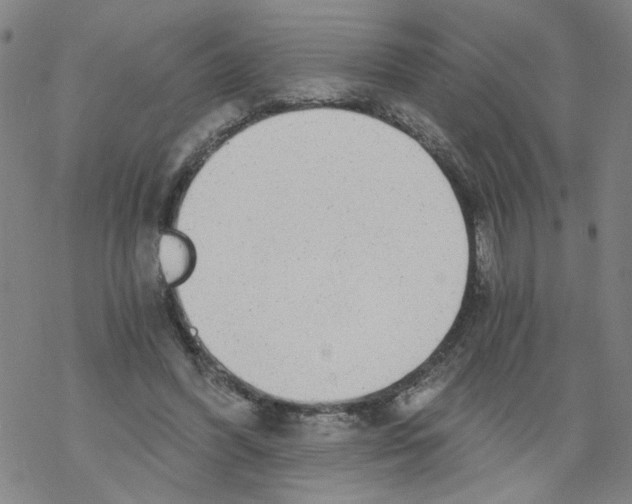 X0000068280396200605191858