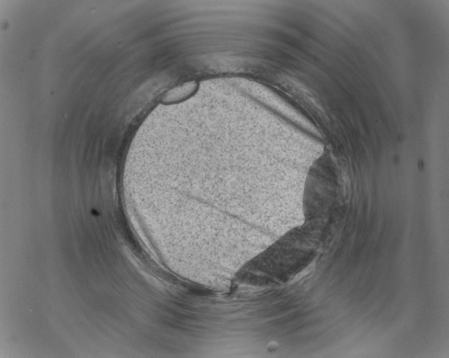 X0000068280398200605191858