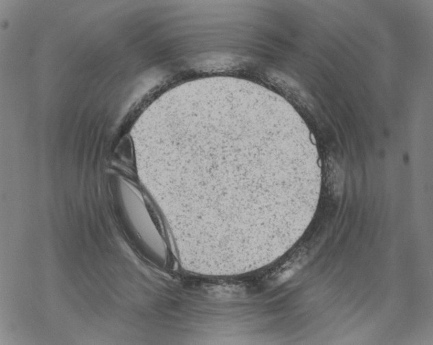 X0000068280400200605191858