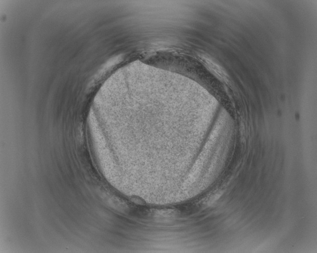 X0000068280401200605191858