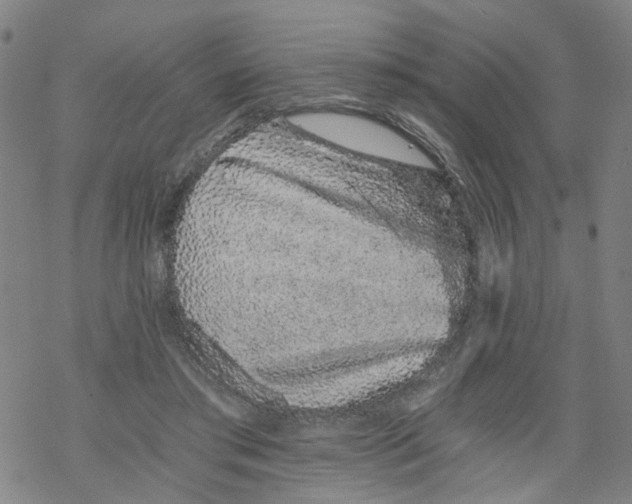 X0000068280405200605191858