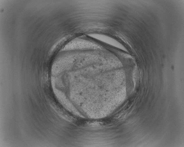 X0000068280407200605191858