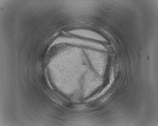 X0000068280409200605191858