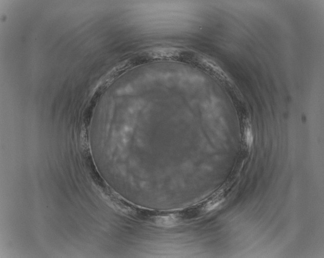 X0000068280411200605191858