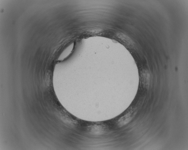 X0000068280412200605191858