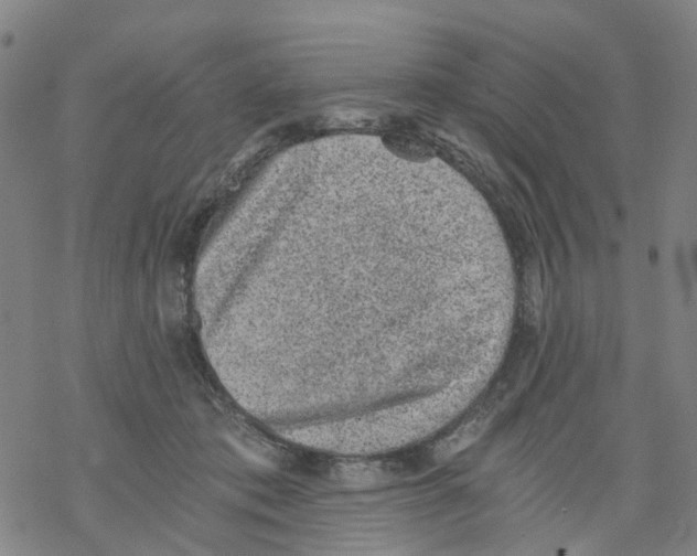 X0000068280413200605191858