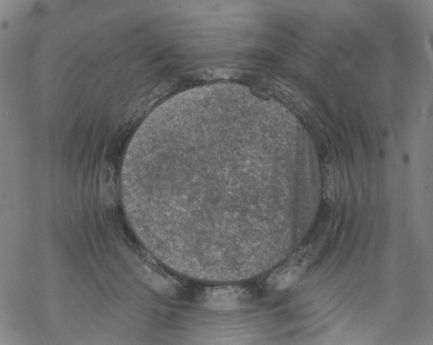 X0000068280414200605191858