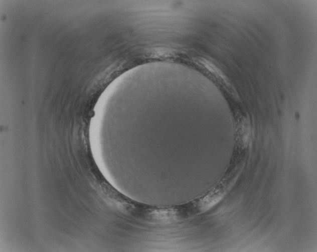 X0000068280415200605191858