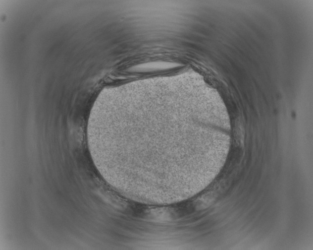 X0000068280417200605191858