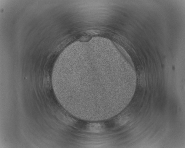 X0000068280418200605191858